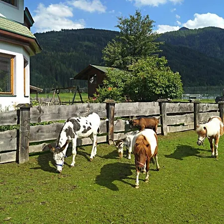 Apartment Chalets Sieglhub Osb021025 Tya *